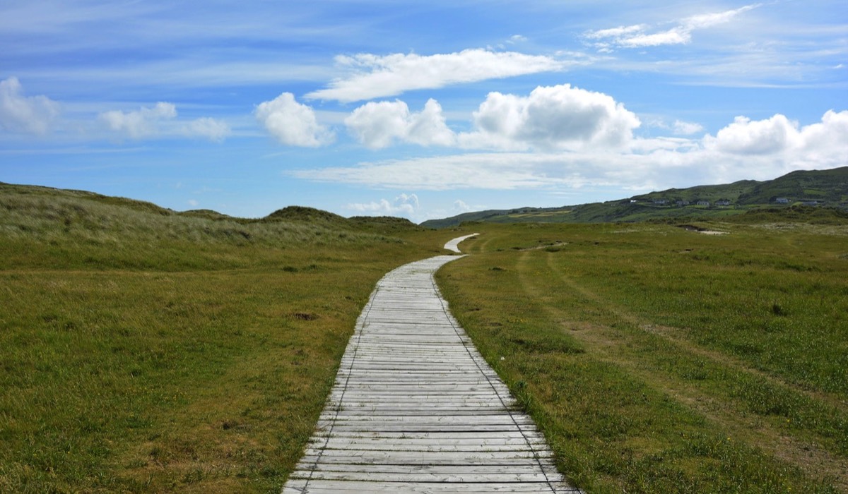 Stacks Image p1735_n208